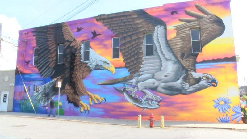 Rochester Artist Justin Suarez Finishes Linesville Wildlife Mural in Just 8 Days