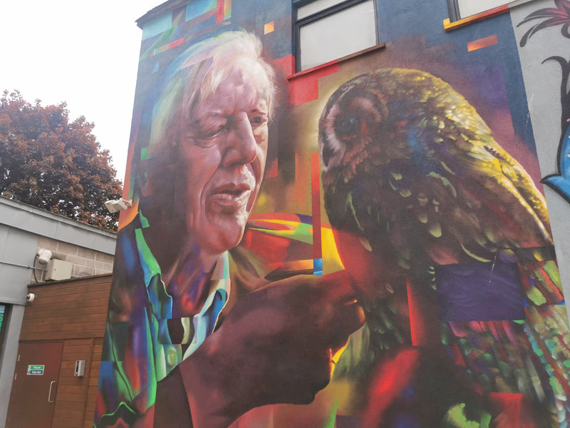 HazardOne's David Attenborough Owl Mural Debuts at Bristol Upfest 2023