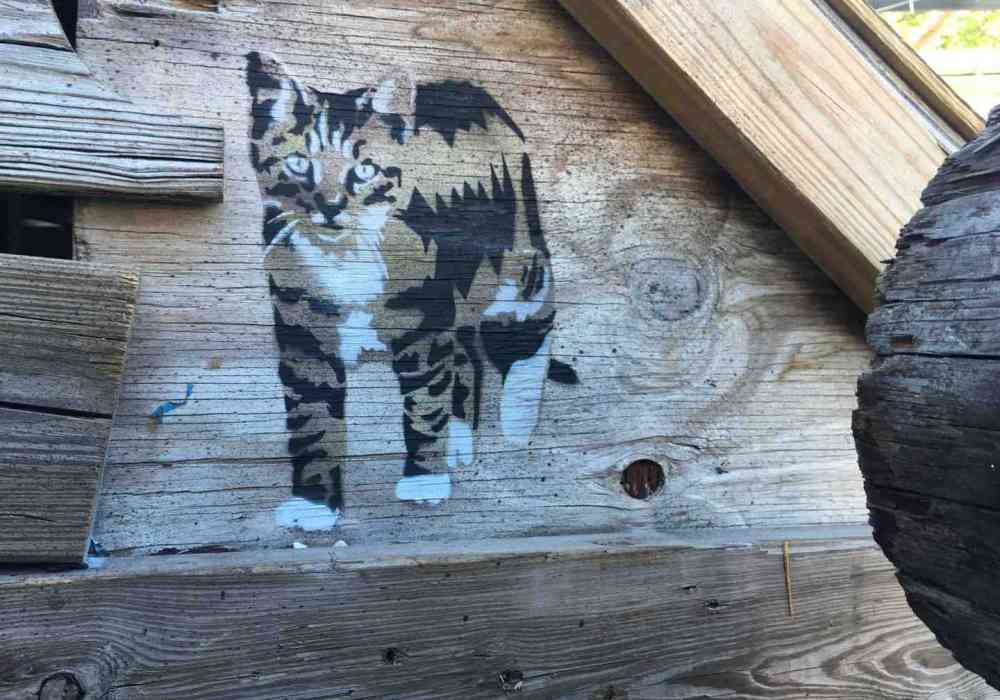 Multi-layer cat stencil spray painted on weathered wood planks