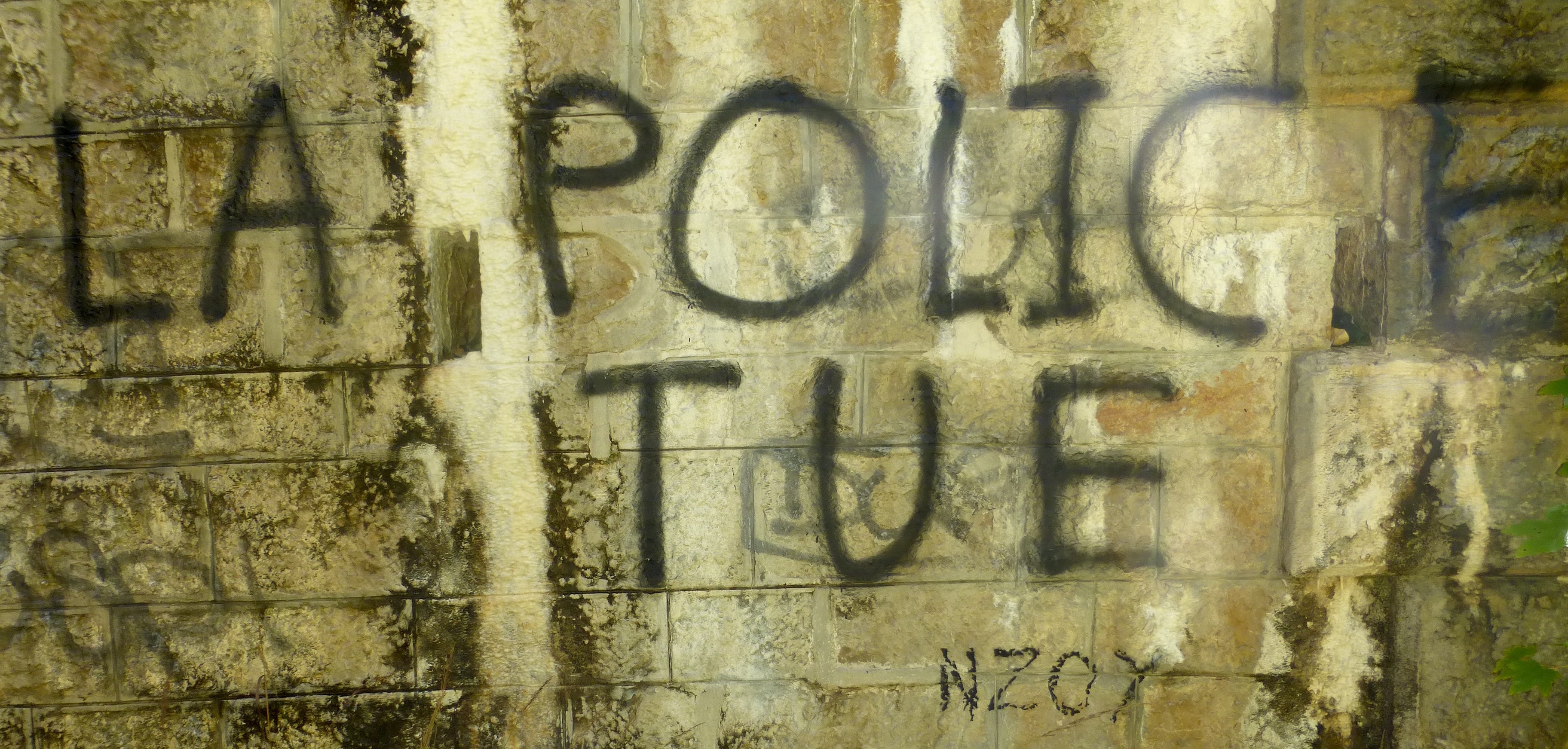 They Sent Three Police Units After a 21-Year-Old Tagger. The Damage Bill Was $200,000.