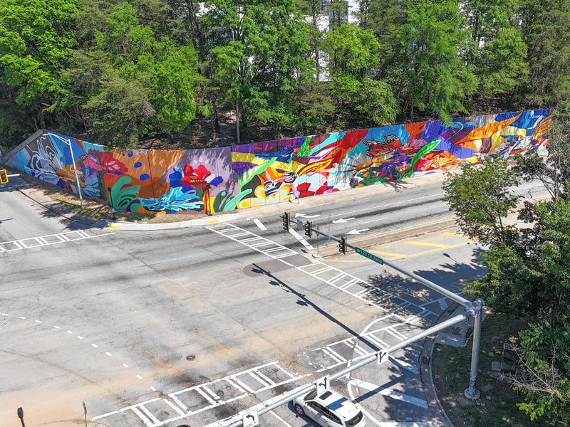 Charity Hamidullah's Wild Seed, Wild Flower mural, Atlanta's largest commissioned mural, a 400-foot floral and butterfly retaining wall painting in South Downtown