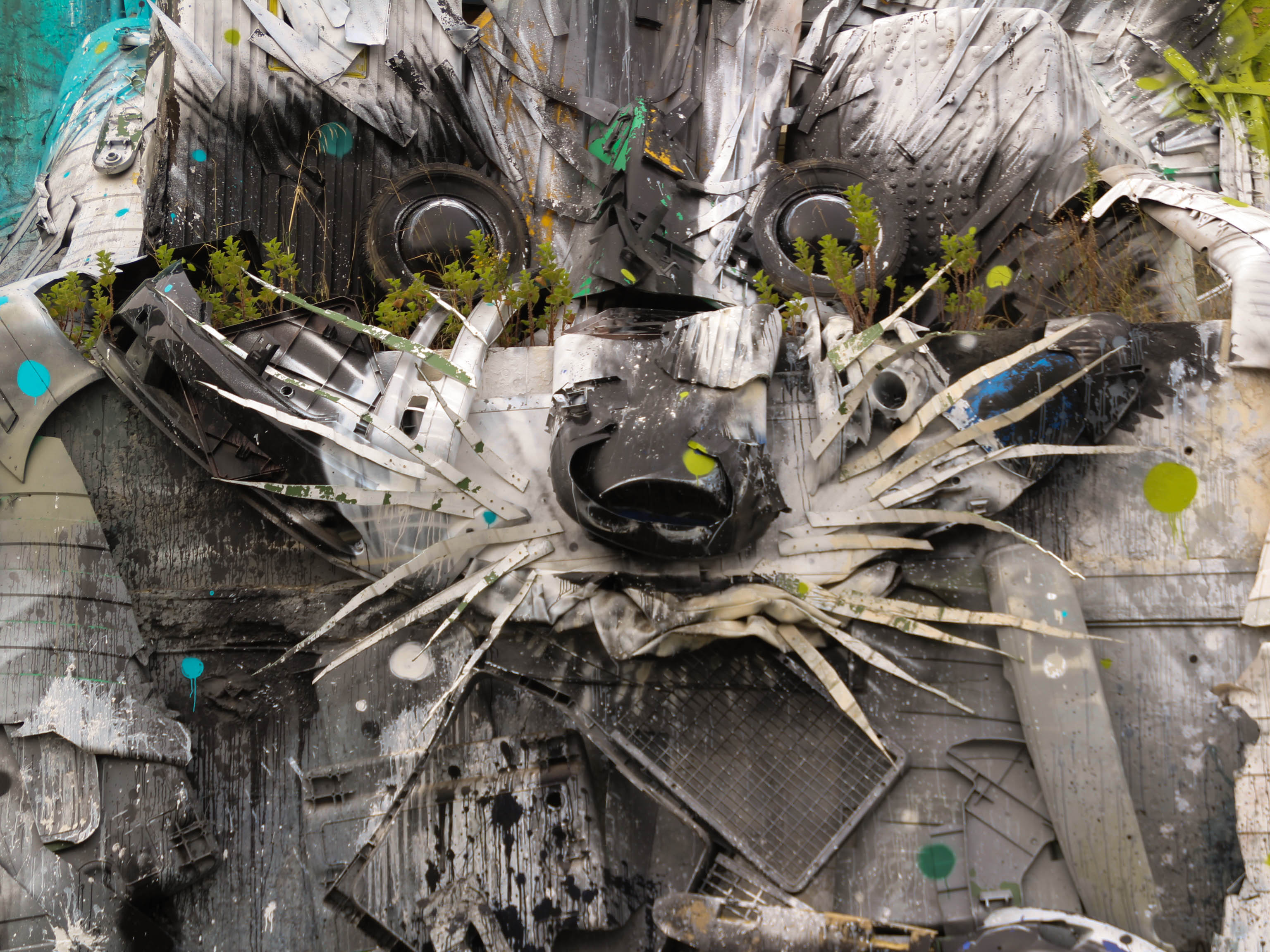 Asbury Park Handed a Portuguese Artist Its Trash. He Built a Family of Foxes Out of It.