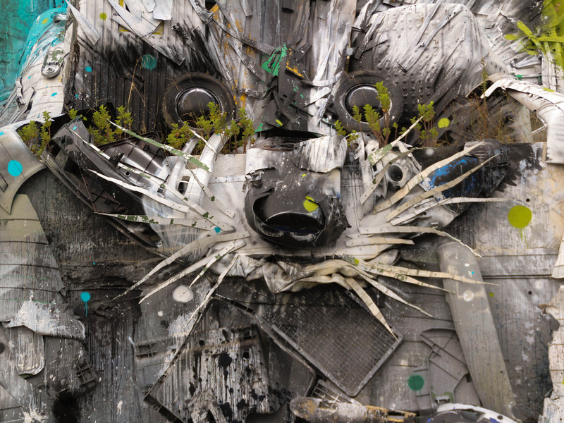 Asbury Park Handed a Portuguese Artist Its Trash. He Built a Family of Foxes Out of It.