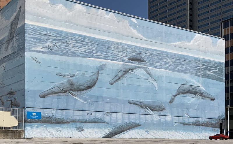 Dallas Painted Over a 30-Year Whale Mural for the World Cup. The Artist Is Suing for $25 Million.