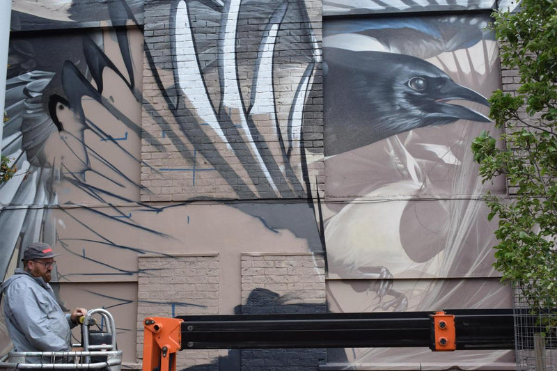 SMUG's photorealistic magpie mural in progress on Front Street in Acomb, York, with the artist working from a cherry picker
