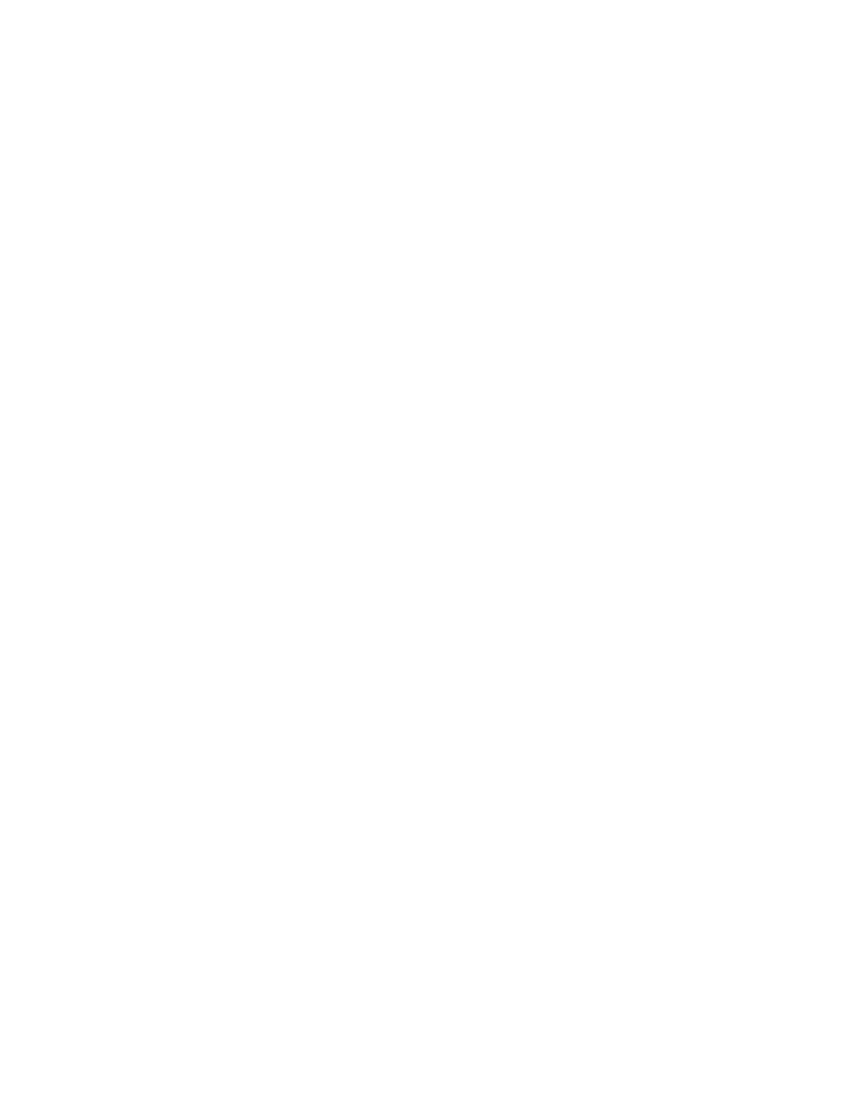 Donald Trump Stencil