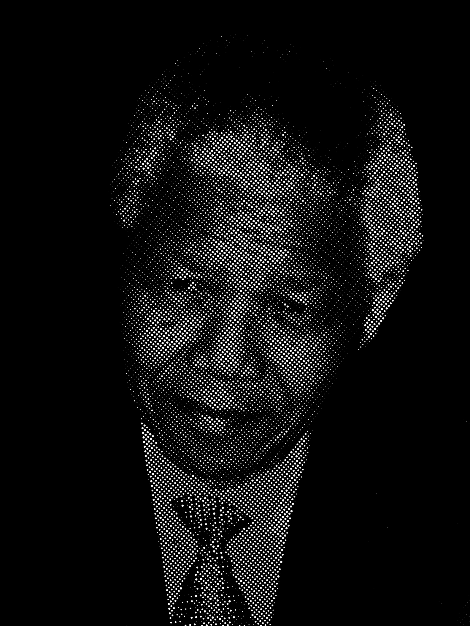 Nelson Mandela Halftone Stencil