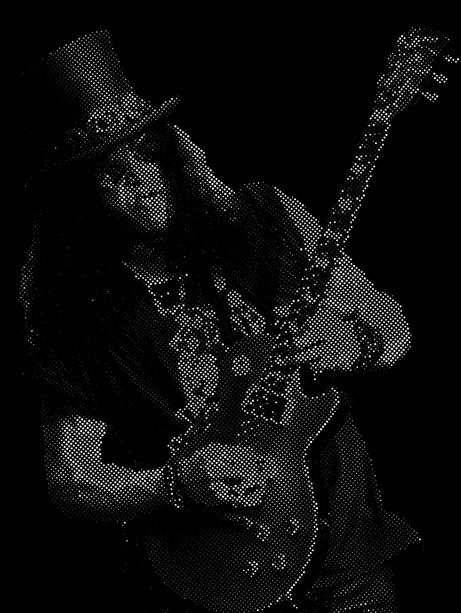 Slash halftone stencil 22x28 inverted